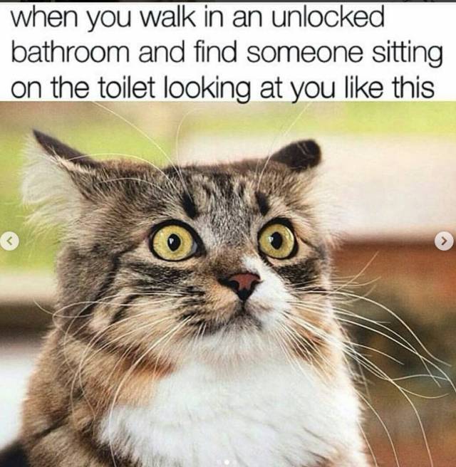 Daily Pictures. Part 2 (72 pics)