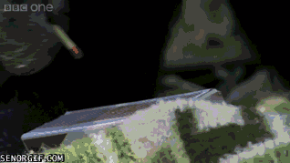 Acid GIFs, June 25 (25 gifs)