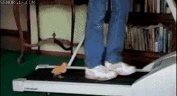 Acid GIFs, June 25 (25 gifs)