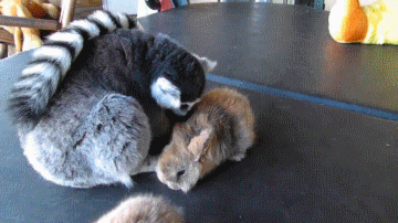 Acid GIFs, June 25 (25 gifs)