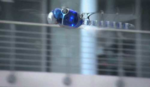 Acid GIFs, June 25 (25 gifs)