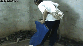 Acid GIFs, June 25 (25 gifs)