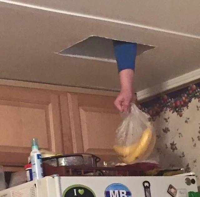 What Is Going On Here? (23 pics)