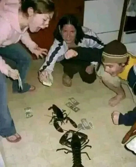 What Is Going On Here? (23 pics)