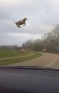 What Is Going On Here? (23 pics)