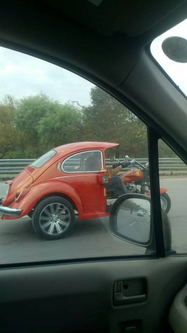 Daily Pictures. Part 1 (70 pics)