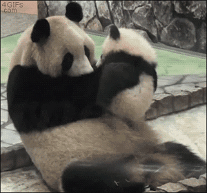 Acid GIFs, June 26 (25 gifs)
