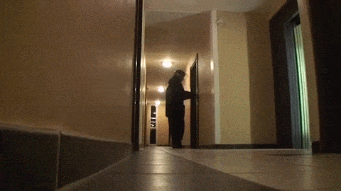 Acid GIFs, June 26 (25 gifs)
