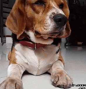 Acid GIFs, June 26 (25 gifs)