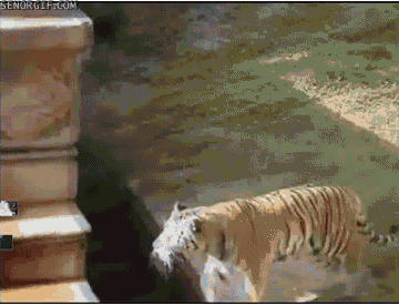 Acid GIFs, June 26 (25 gifs)