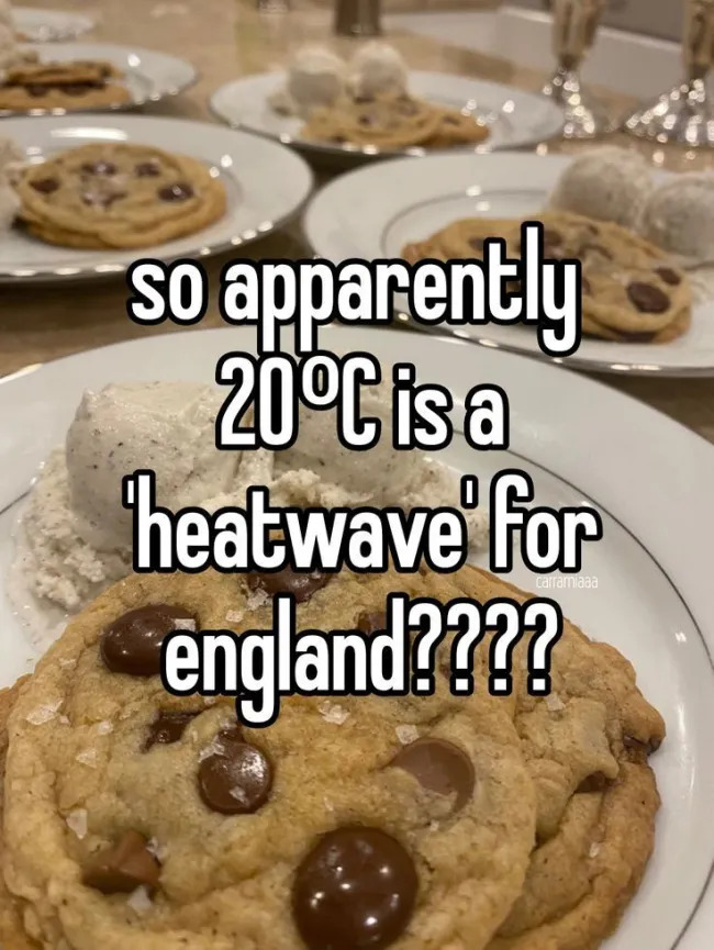 British Memes (18 pics)