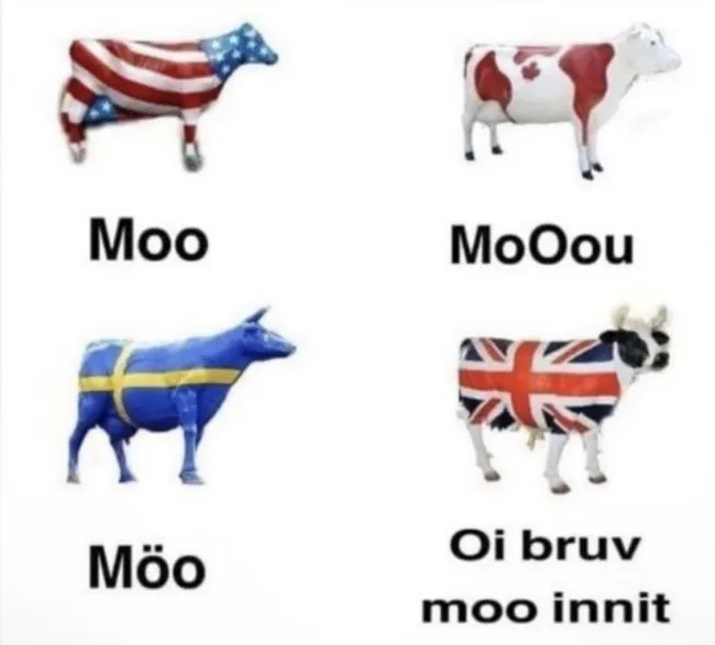 British Memes (18 pics)