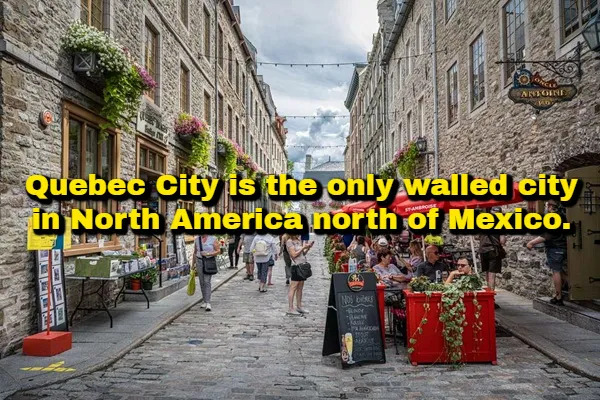 Interesting Facts (17 pics)