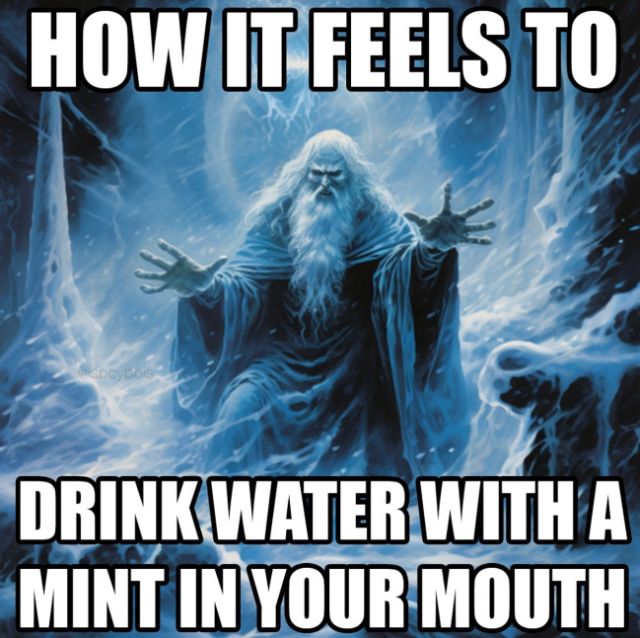 Random Memes (21 pics)