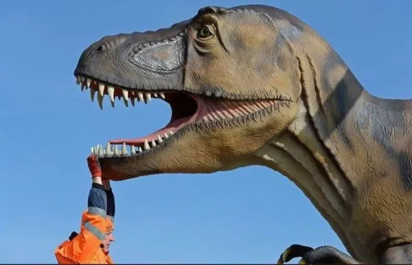 What Is Going On Here? (25 pics)