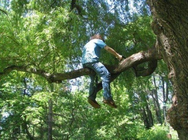 They Don't Care About Safety (25 pics)