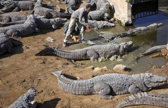 They Don't Care About Safety (25 pics)