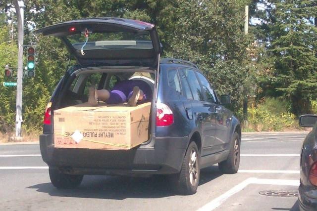 They Don't Care About Safety (25 pics)