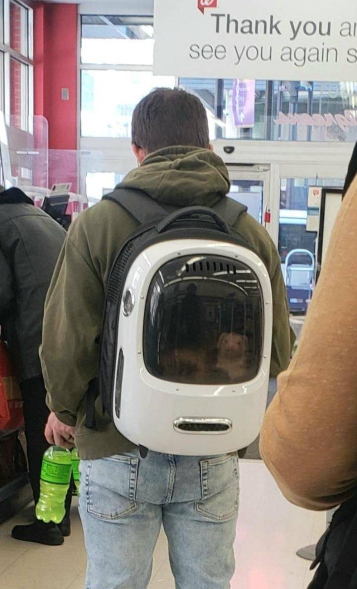 Daily Pictures. Part 1 (77 pics)