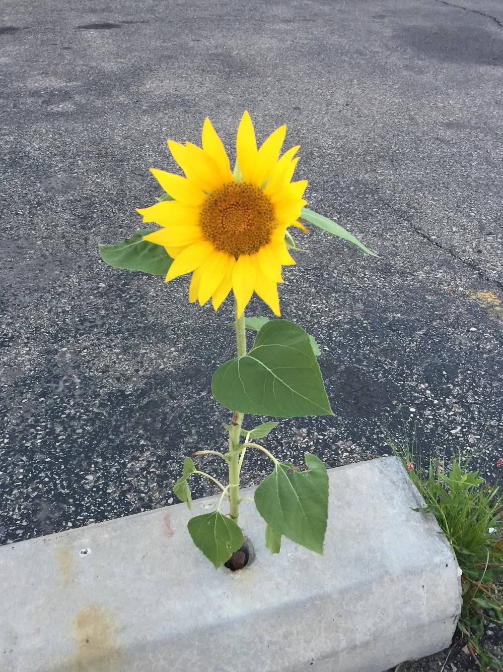 Daily Pictures. Part 2 (76 pics)