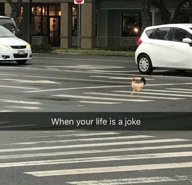 Daily Pictures. Part 2 (76 pics)