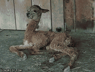 Acid GIFs, June 29 (29 gifs)