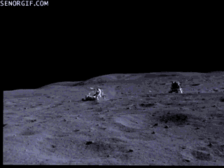 Acid GIFs, June 29 (29 gifs)