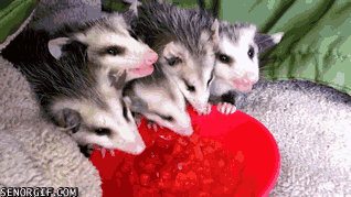 Acid GIFs, June 29 (29 gifs)