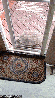 Acid GIFs, June 29 (29 gifs)