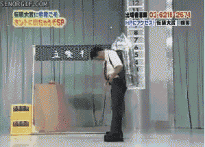 Acid GIFs, June 29 (29 gifs)