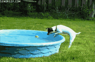 Acid GIFs, June 29 (29 gifs)