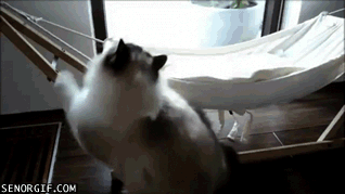 Acid GIFs, June 29 (29 gifs)