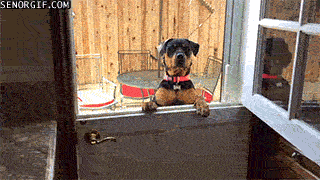 Acid GIFs, June 29 (29 gifs)