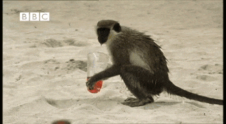 Acid GIFs, June 29 (29 gifs)