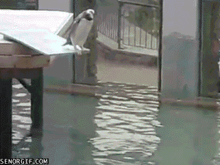 Acid GIFs, June 29 (29 gifs)