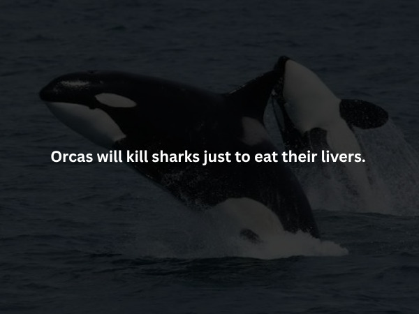 Creepy Facts (15 pics)