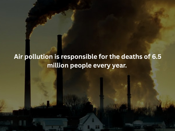 Creepy Facts (15 pics)