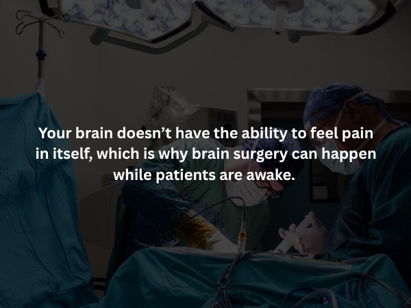 Creepy Facts (15 pics)