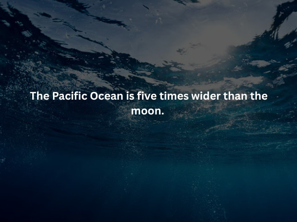Creepy Facts (15 pics)