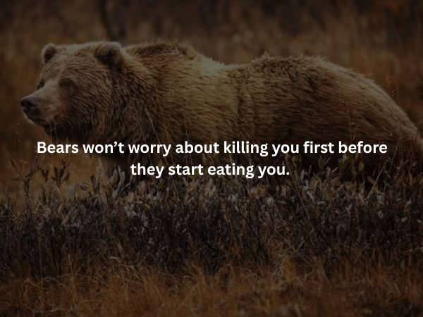 Creepy Facts (15 pics)