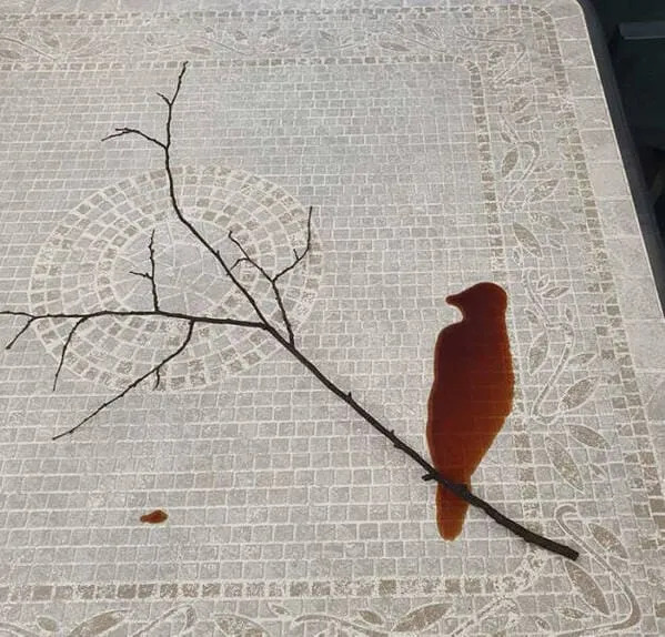 What Is Going On Here? (25 pics)