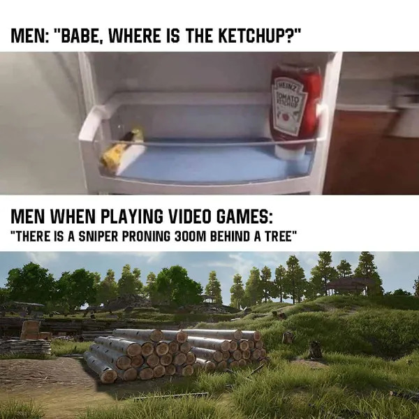 Memes For Gamers (25 pics)