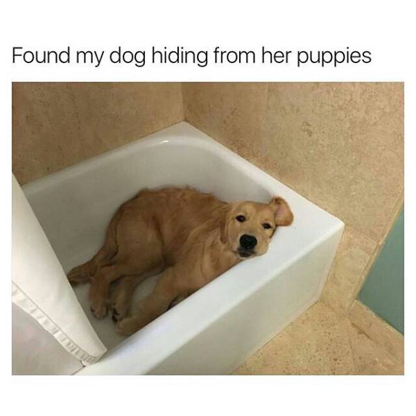 Daily Pictures. Part 2 (71 pics)