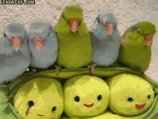 Acid GIFs, June 30 (29 gifs)