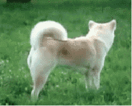 Acid GIFs, June 30 (29 gifs)