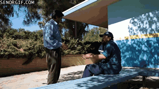Acid GIFs, June 30 (29 gifs)