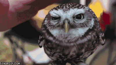 Acid GIFs, June 30 (29 gifs)