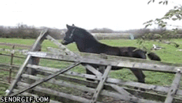 Acid GIFs, June 30 (29 gifs)