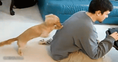 Acid GIFs, June 30 (29 gifs)