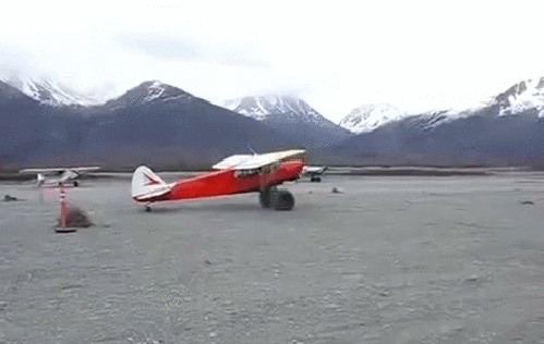 Acid GIFs, June 30 (29 gifs)